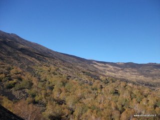 nte Zappinazzo-04-11-2012 10-49-41